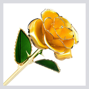 24K Gold-Plated Rose