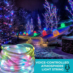 Voice-Controlled Atmosphere Light String