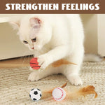 Load image into Gallery viewer, Chicken Feather Elastic Ball Pet Toy
