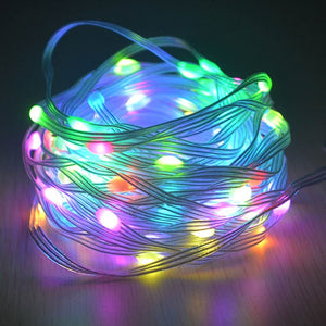 Voice-Controlled Atmosphere Light String