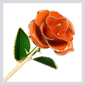 24K Gold-Plated Rose