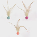 Load image into Gallery viewer, Chicken Feather Elastic Ball Pet Toy
